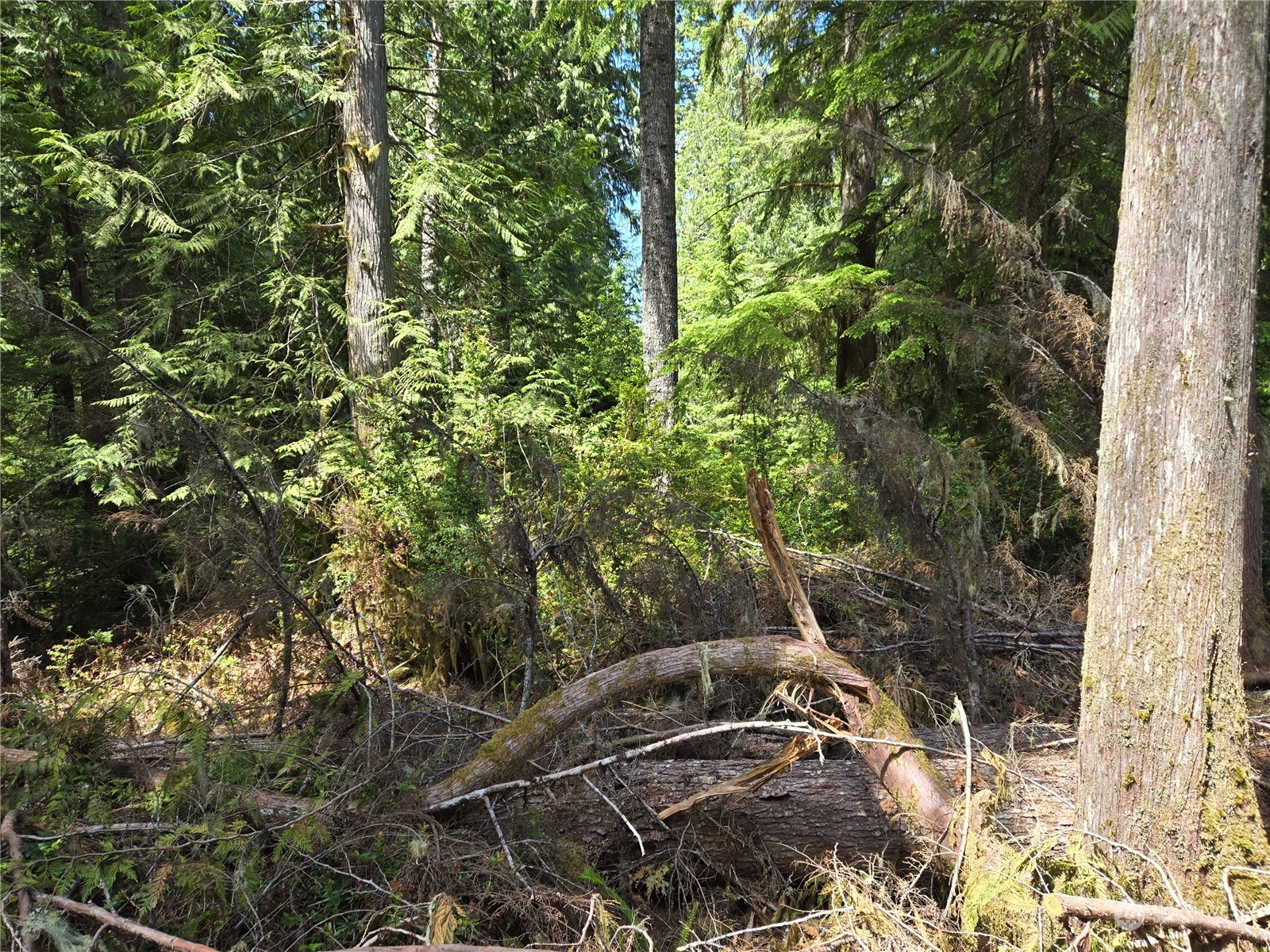 71 E Country Club Drive E