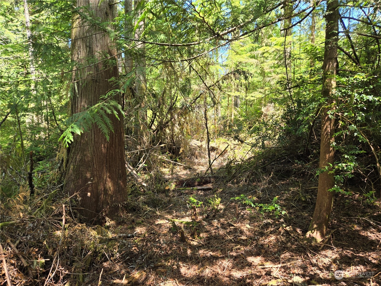 71 E Country Club Drive E