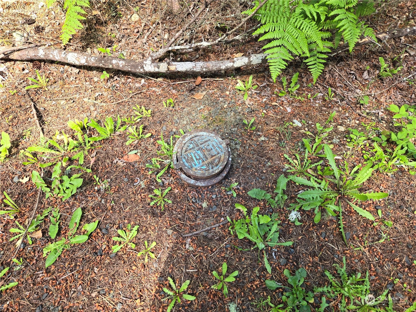 71 E Country Club Drive E