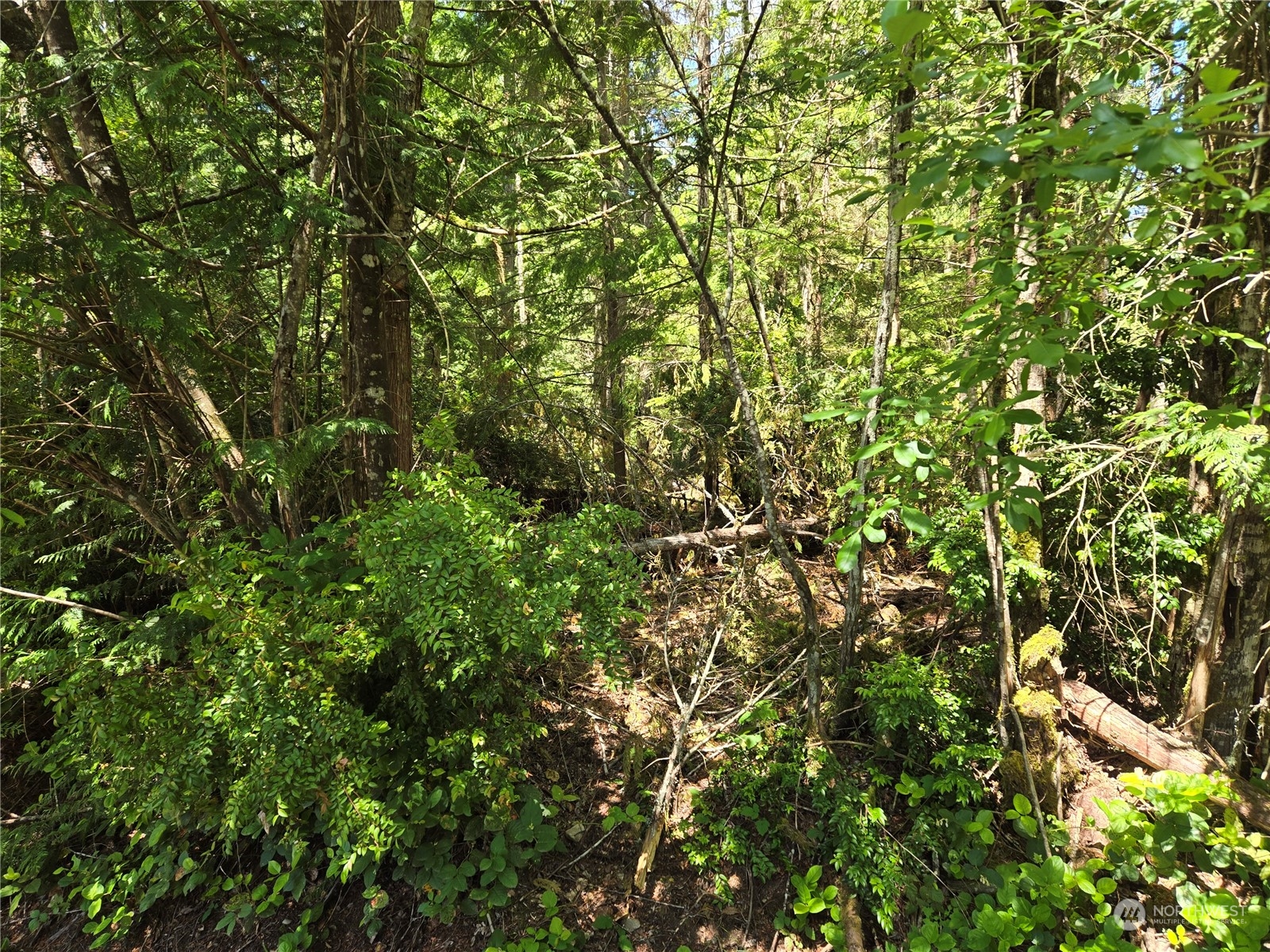 71 E Country Club Drive E