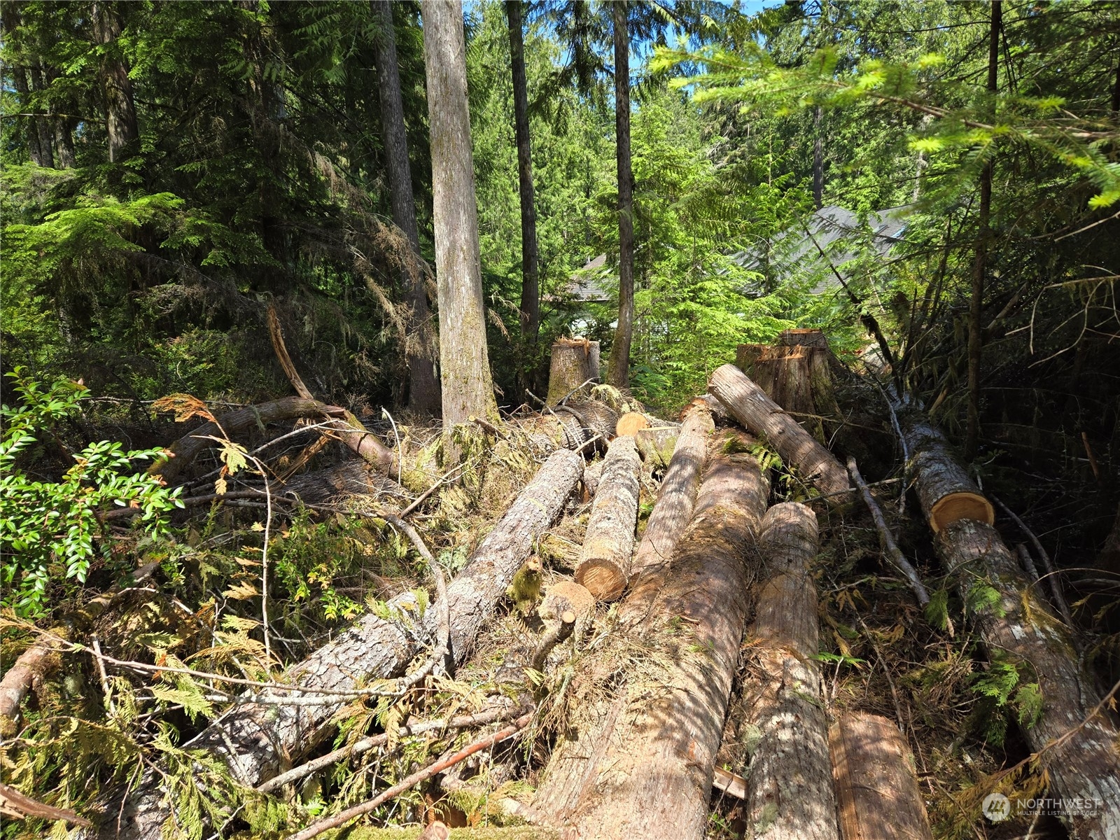 71 E Country Club Drive E