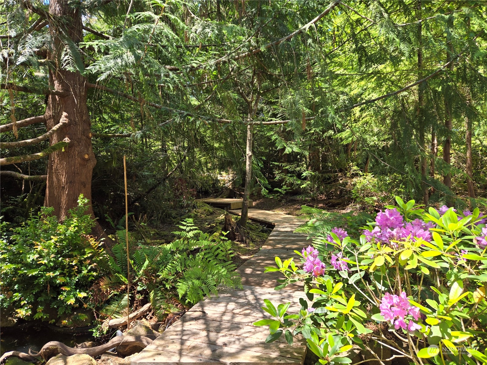 71 E Country Club Drive E