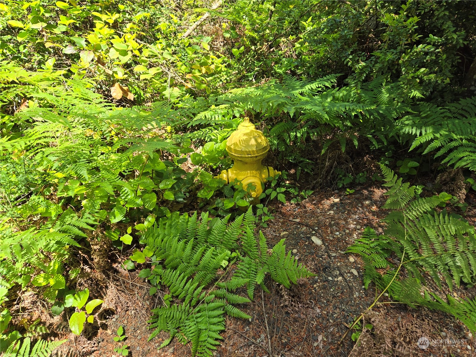 71 E Country Club Drive E