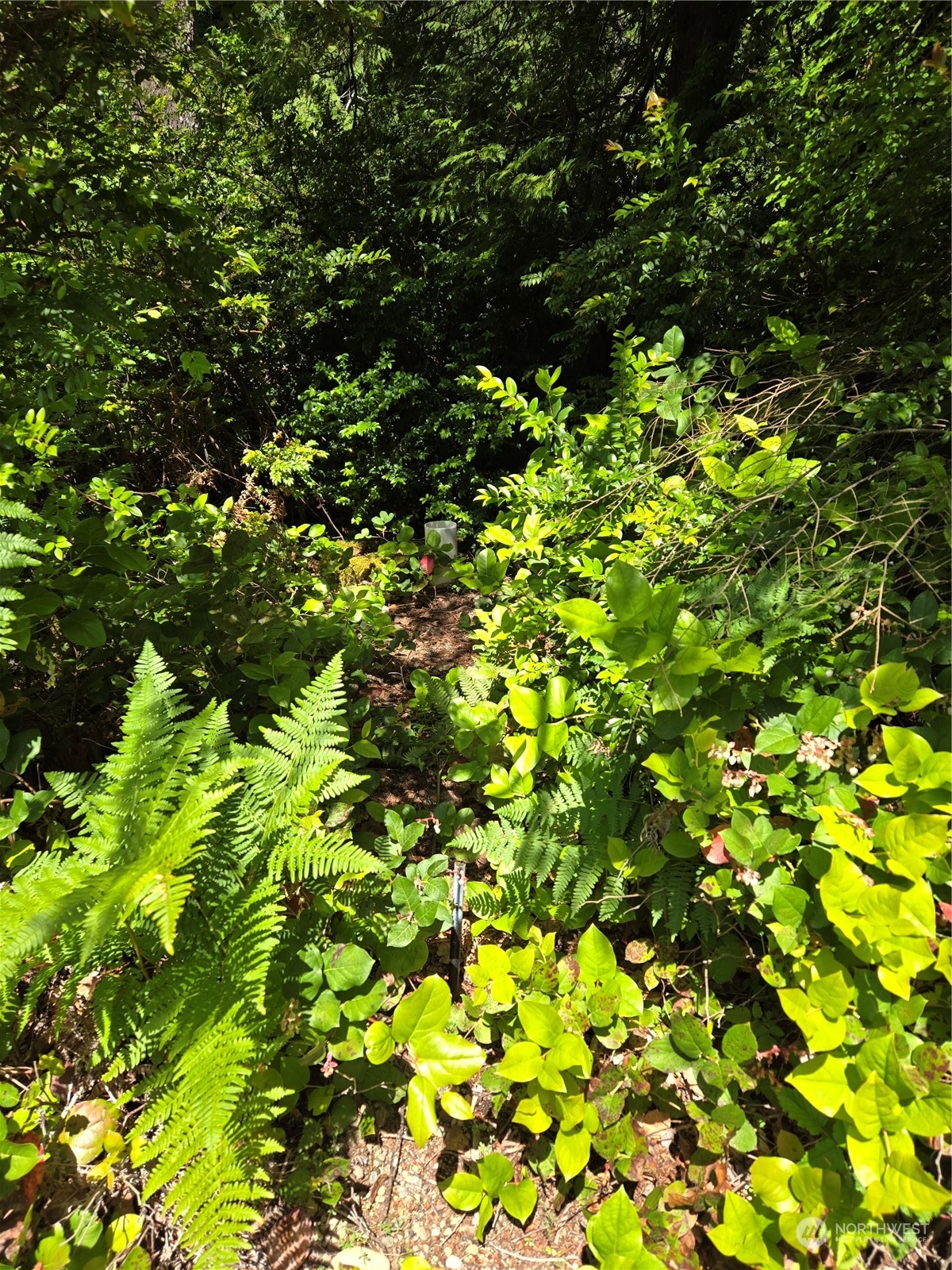 71 E Country Club Drive E