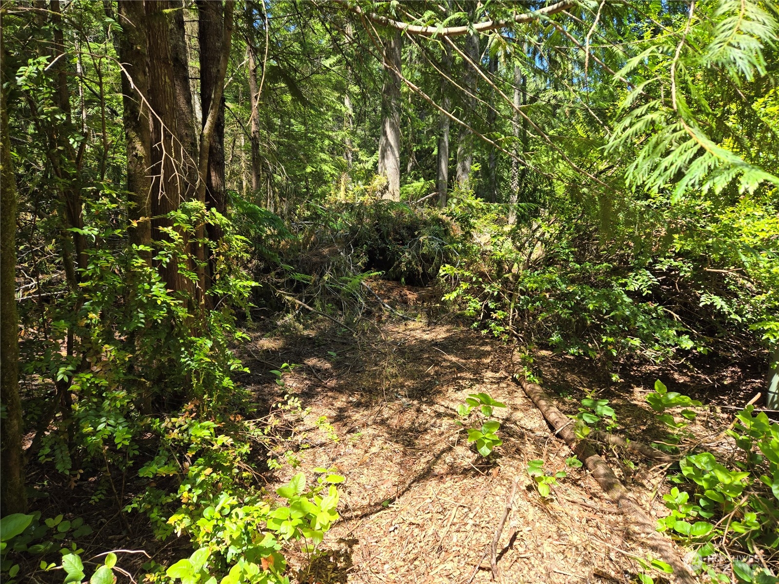 71 E Country Club Drive E