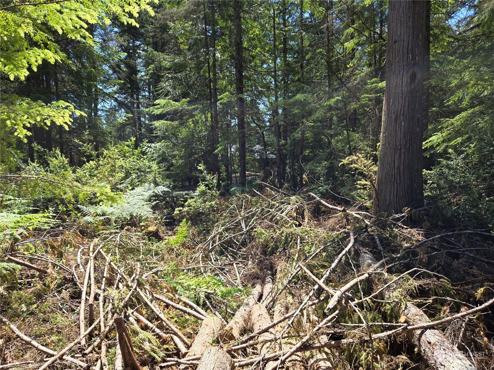 71 E Country Club Drive E