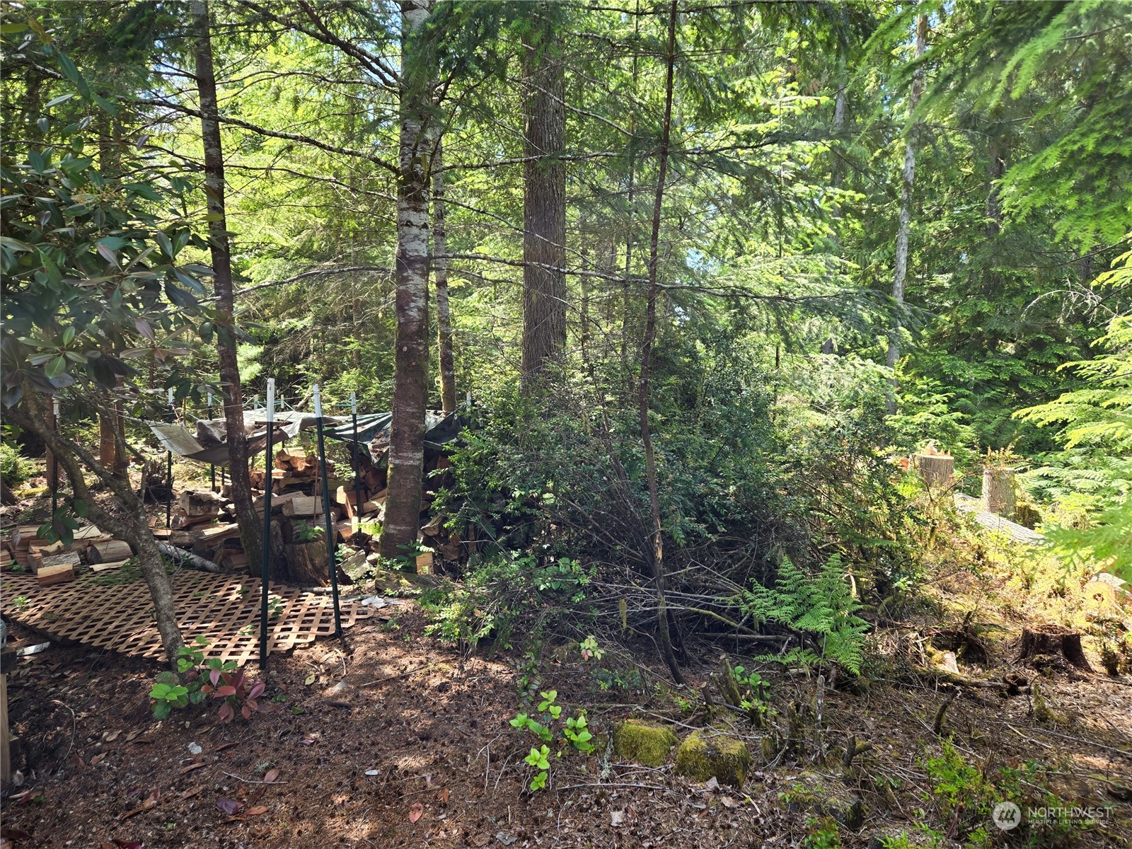 71 E Country Club Drive E