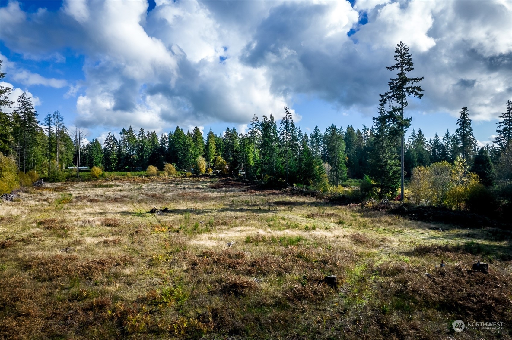 15207 Golden Hawk Place SW