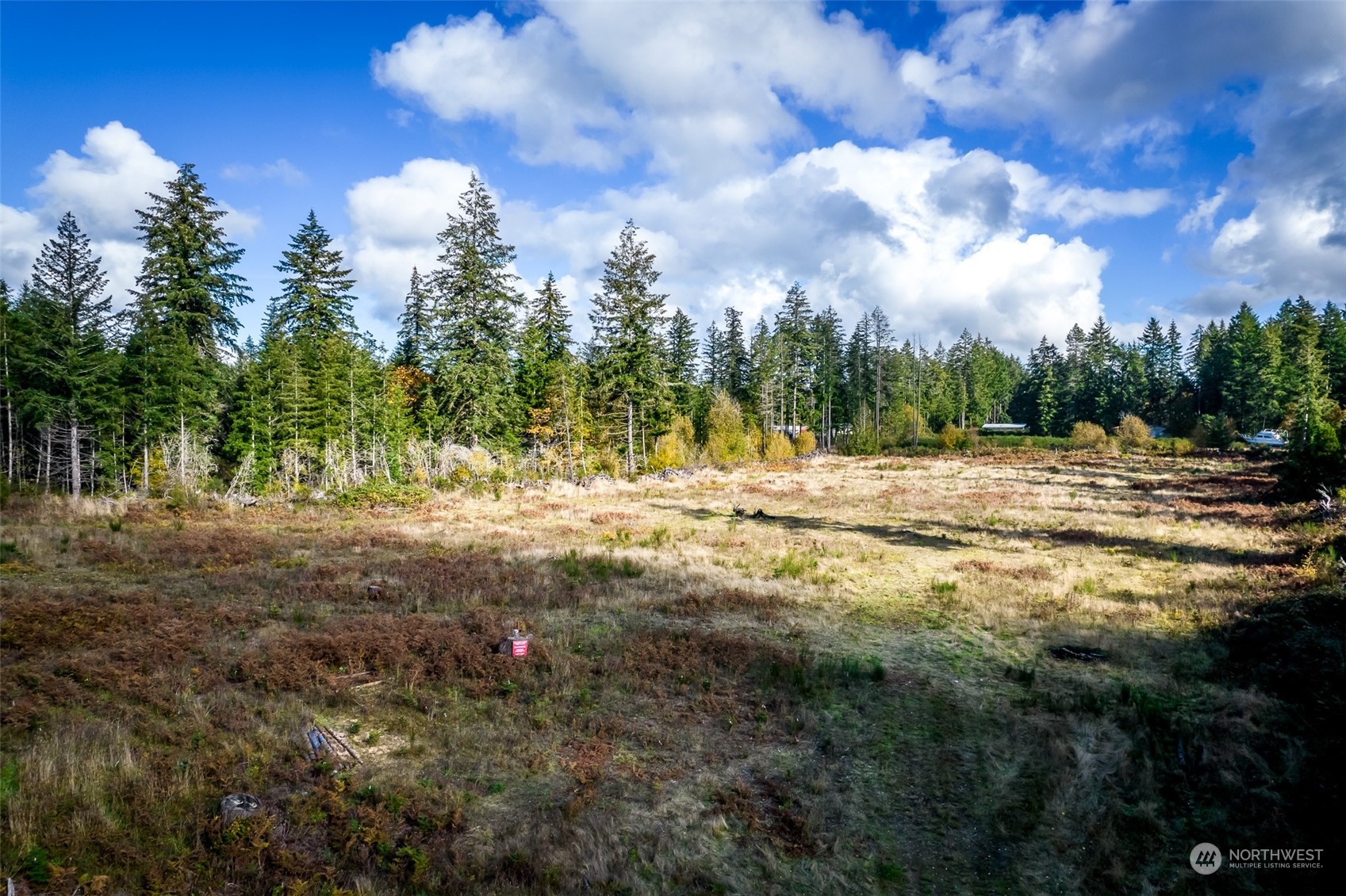 15207 Golden Hawk Place SW