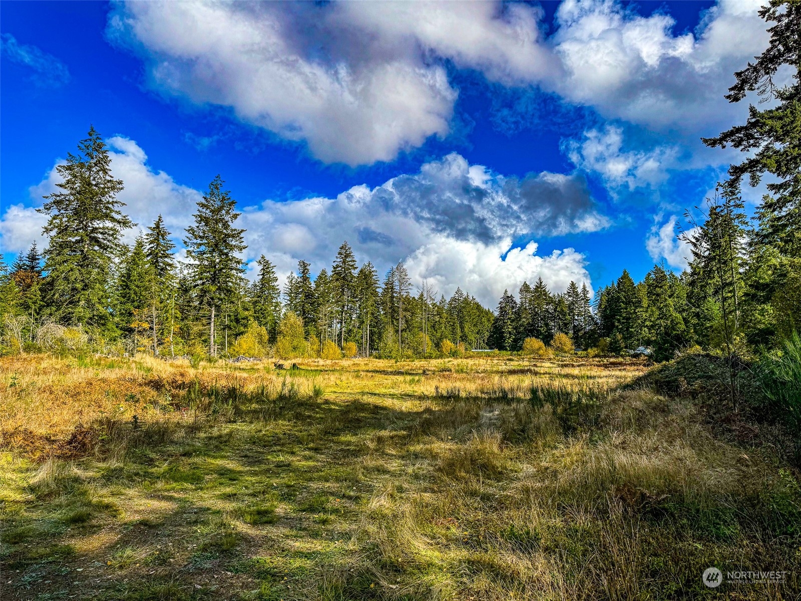 15207 Golden Hawk Place SW