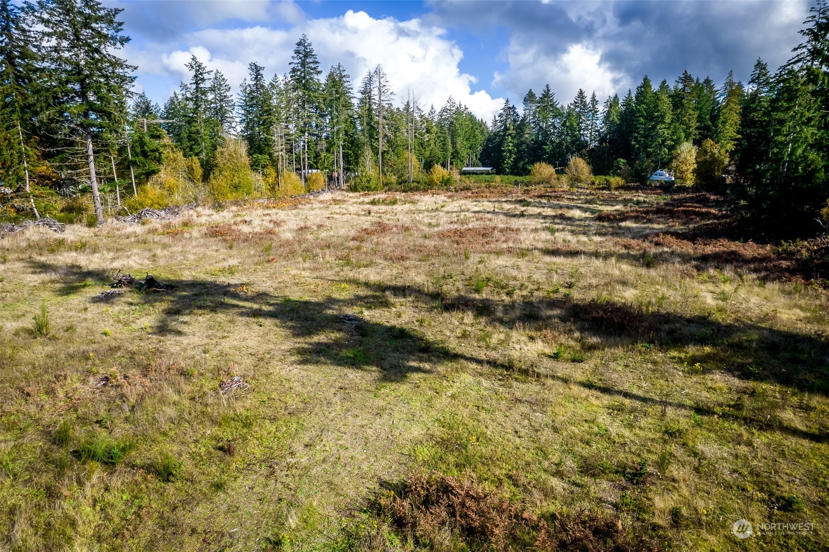 15207 Golden Hawk Place SW