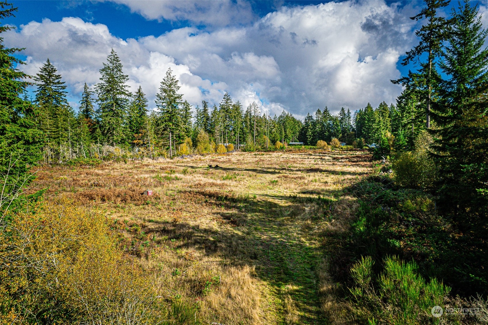 15207 Golden Hawk Place SW