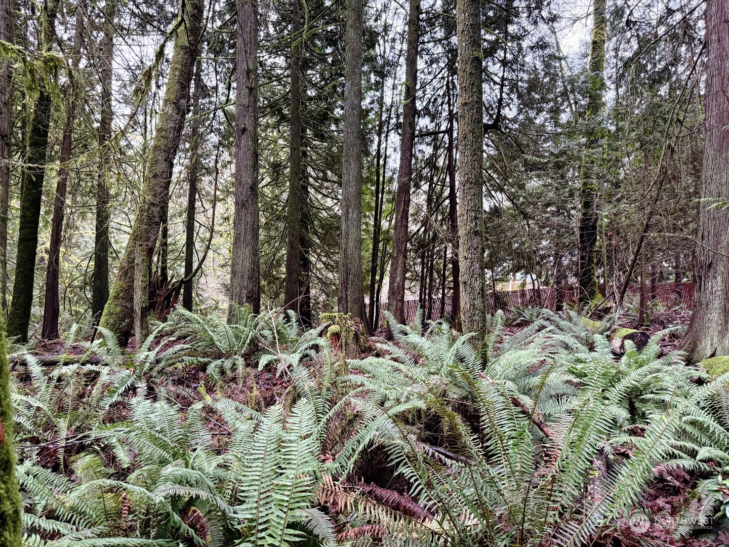 9 XX NE Winston Drive