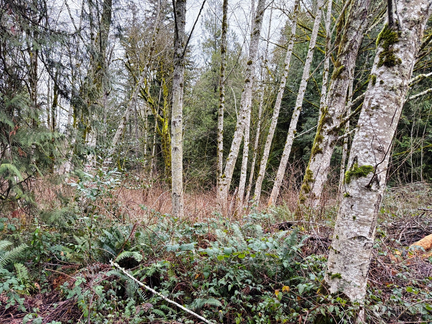 9 XX NE Winston Drive