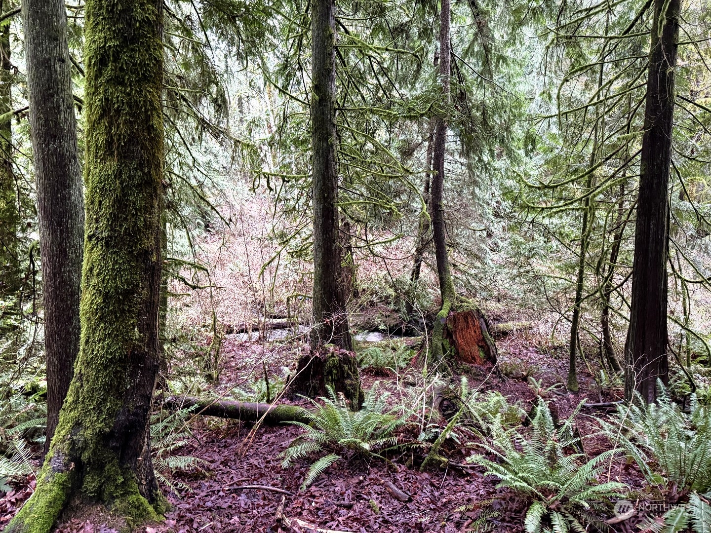 9 XX NE Winston Drive