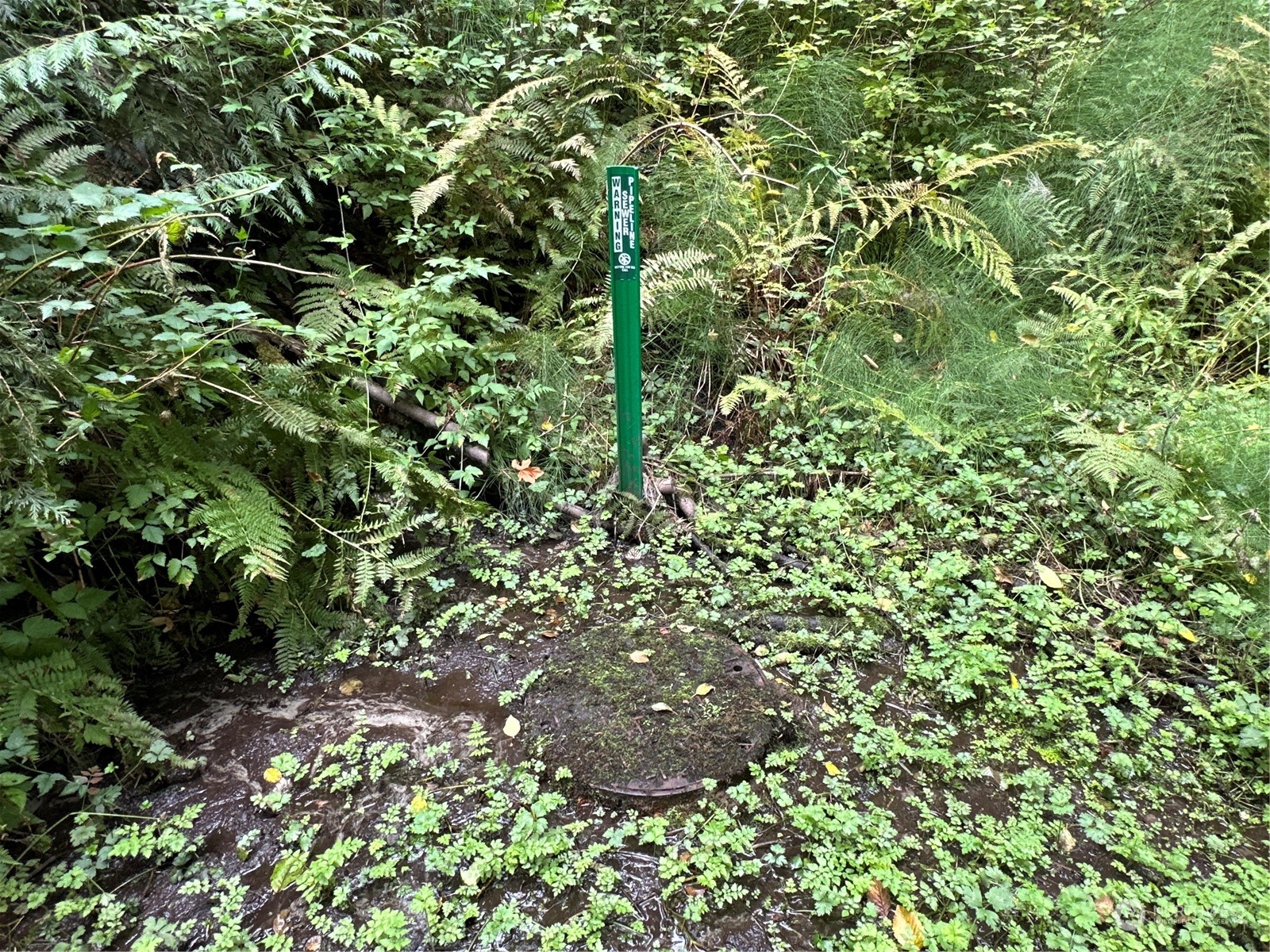 9 XX NE Winston Drive