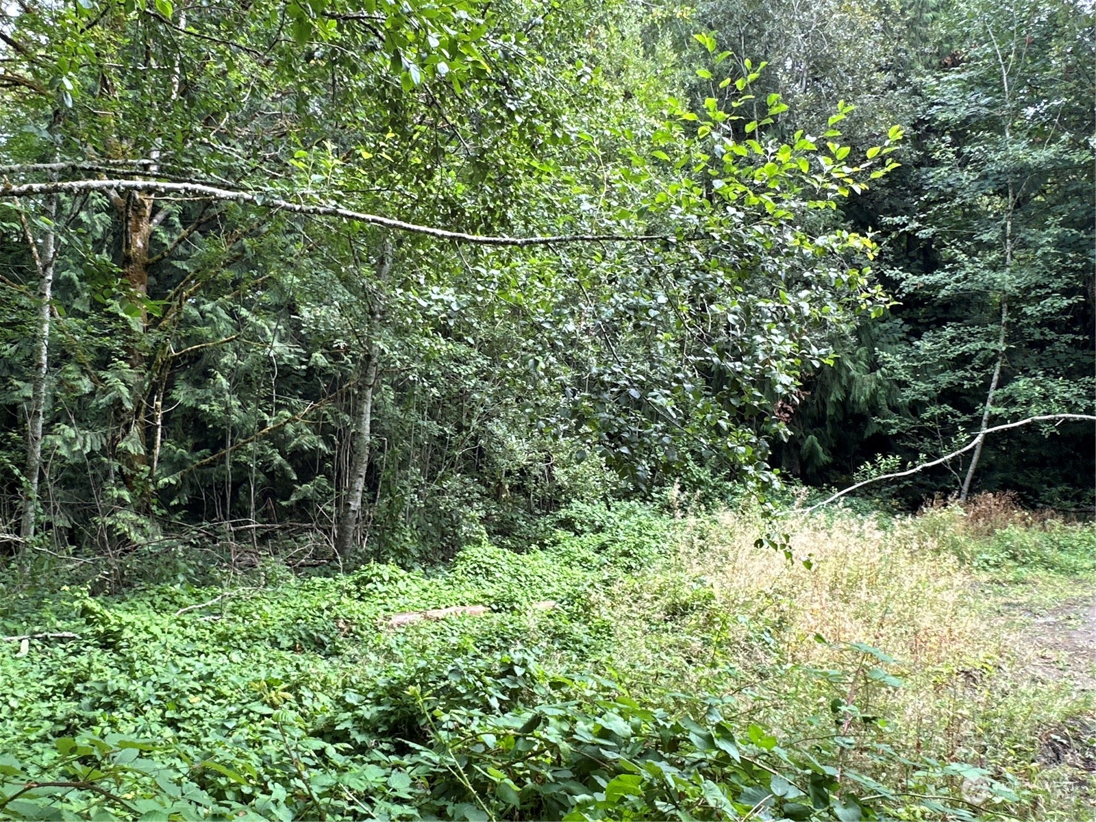 9 XX NE Winston Drive