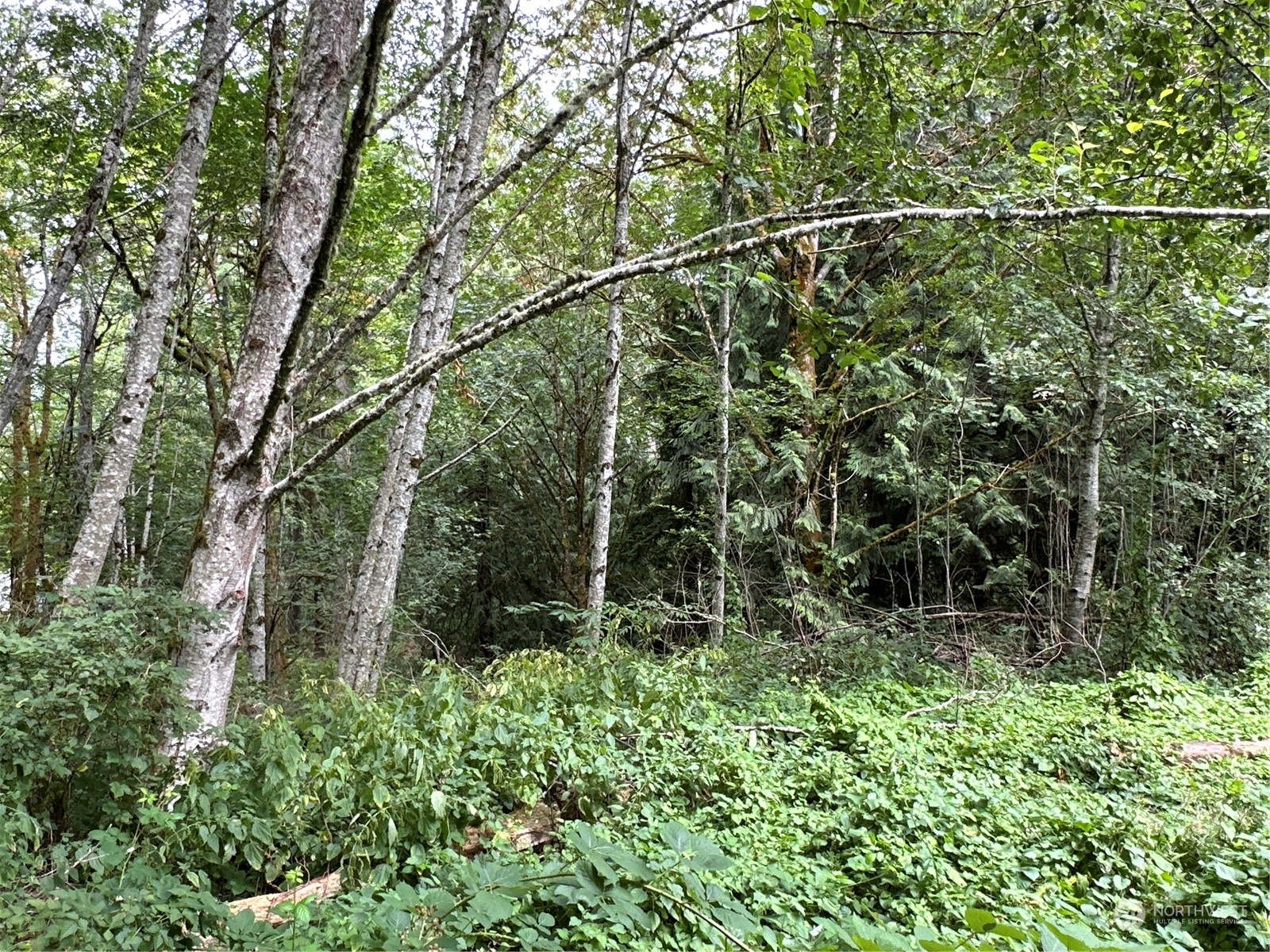 9 XX NE Winston Drive