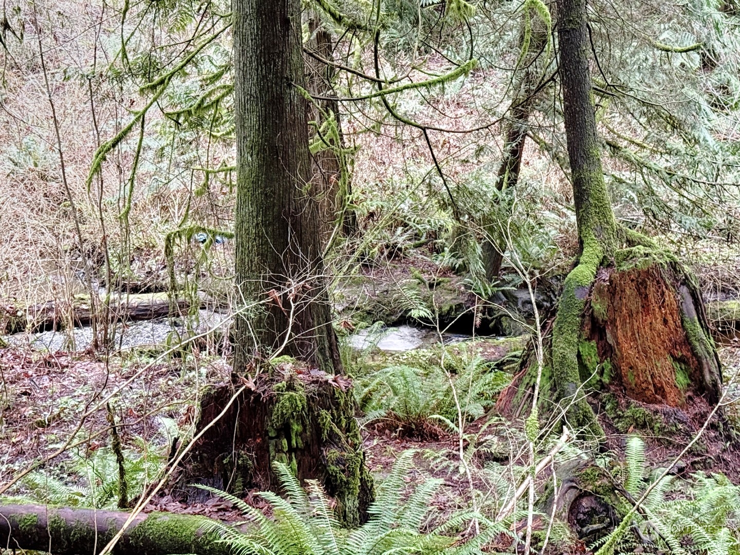 9 XX NE Winston Drive