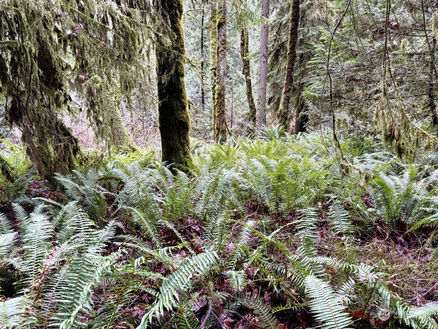 9 XX NE Winston Drive