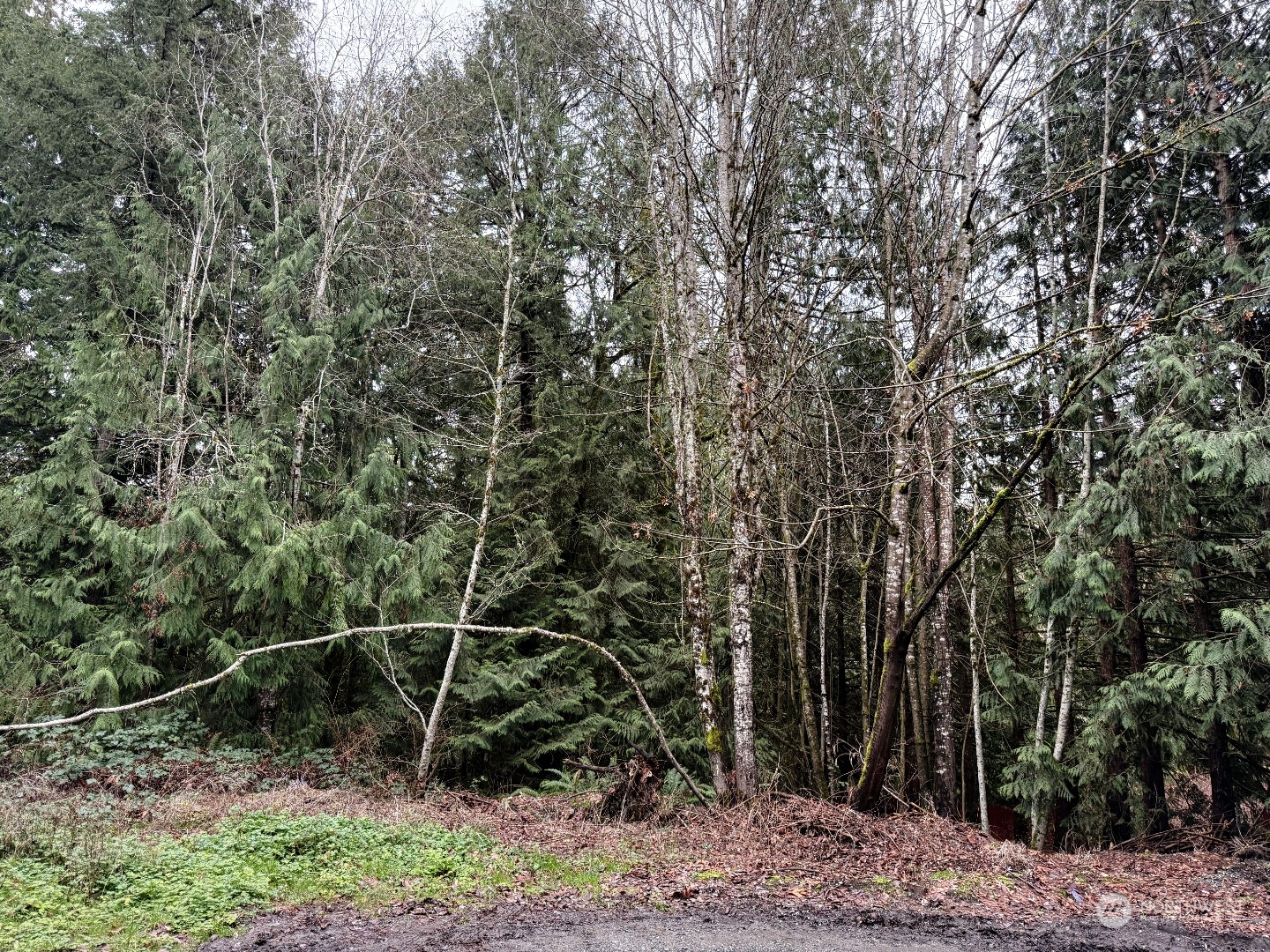 9 XX NE Winston Drive