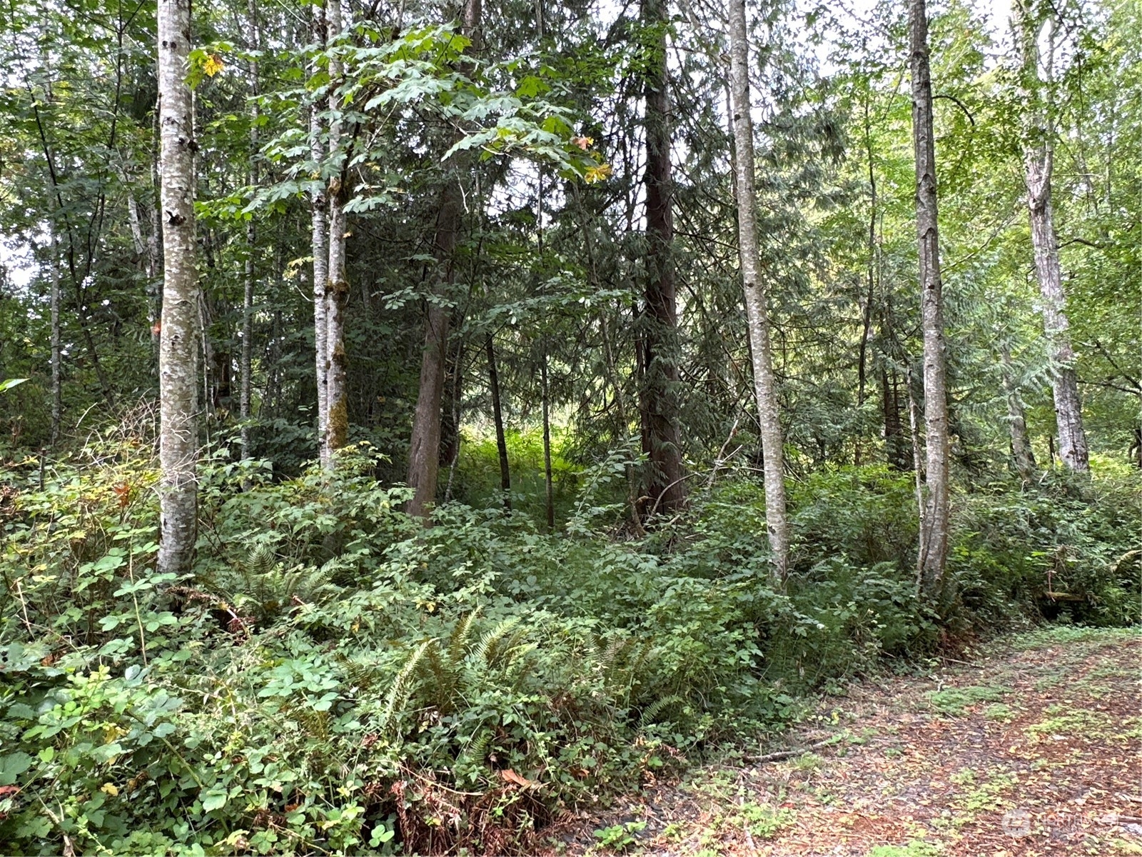 9 XX NE Winston Drive