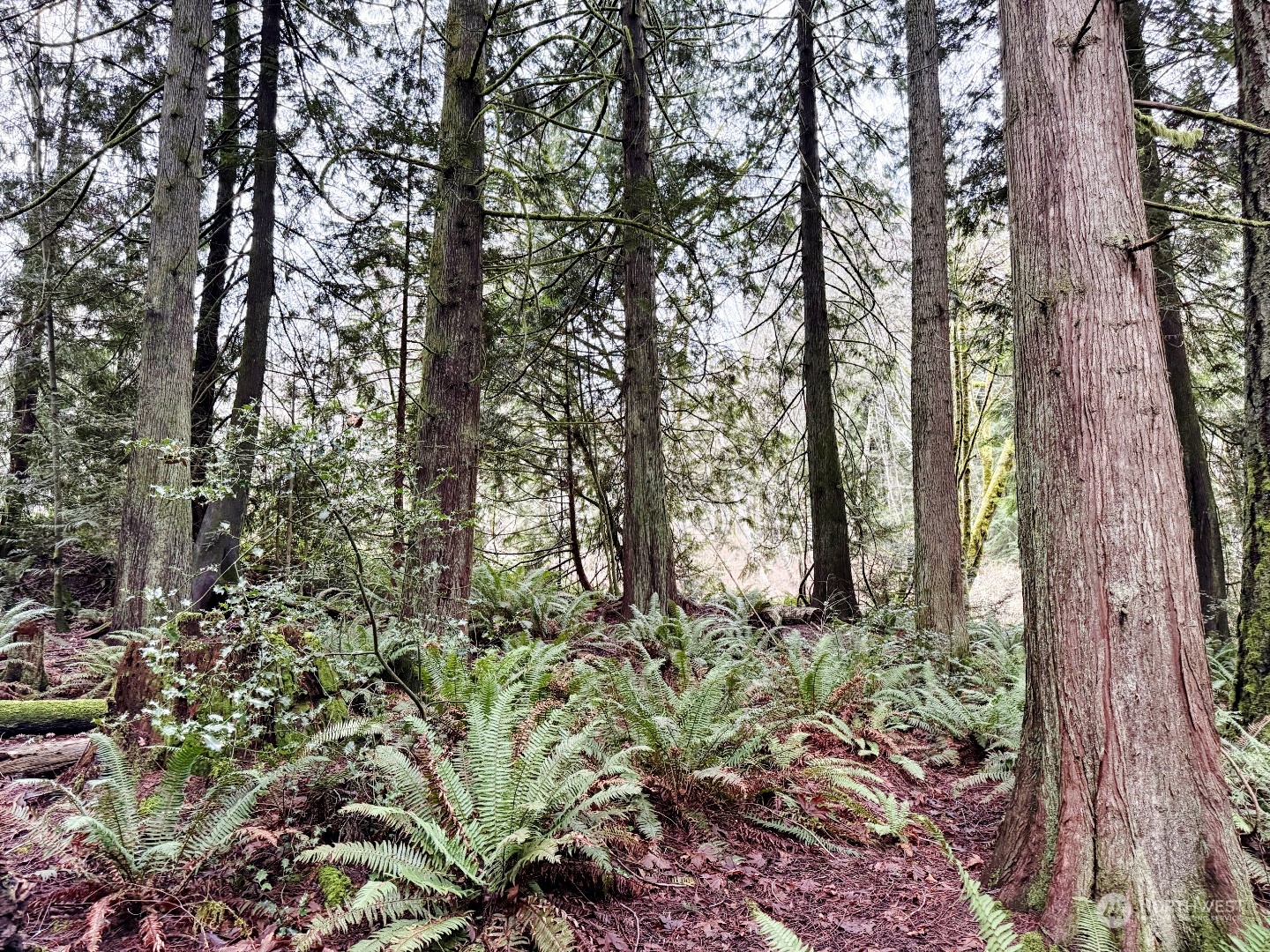 9 XX NE Winston Drive