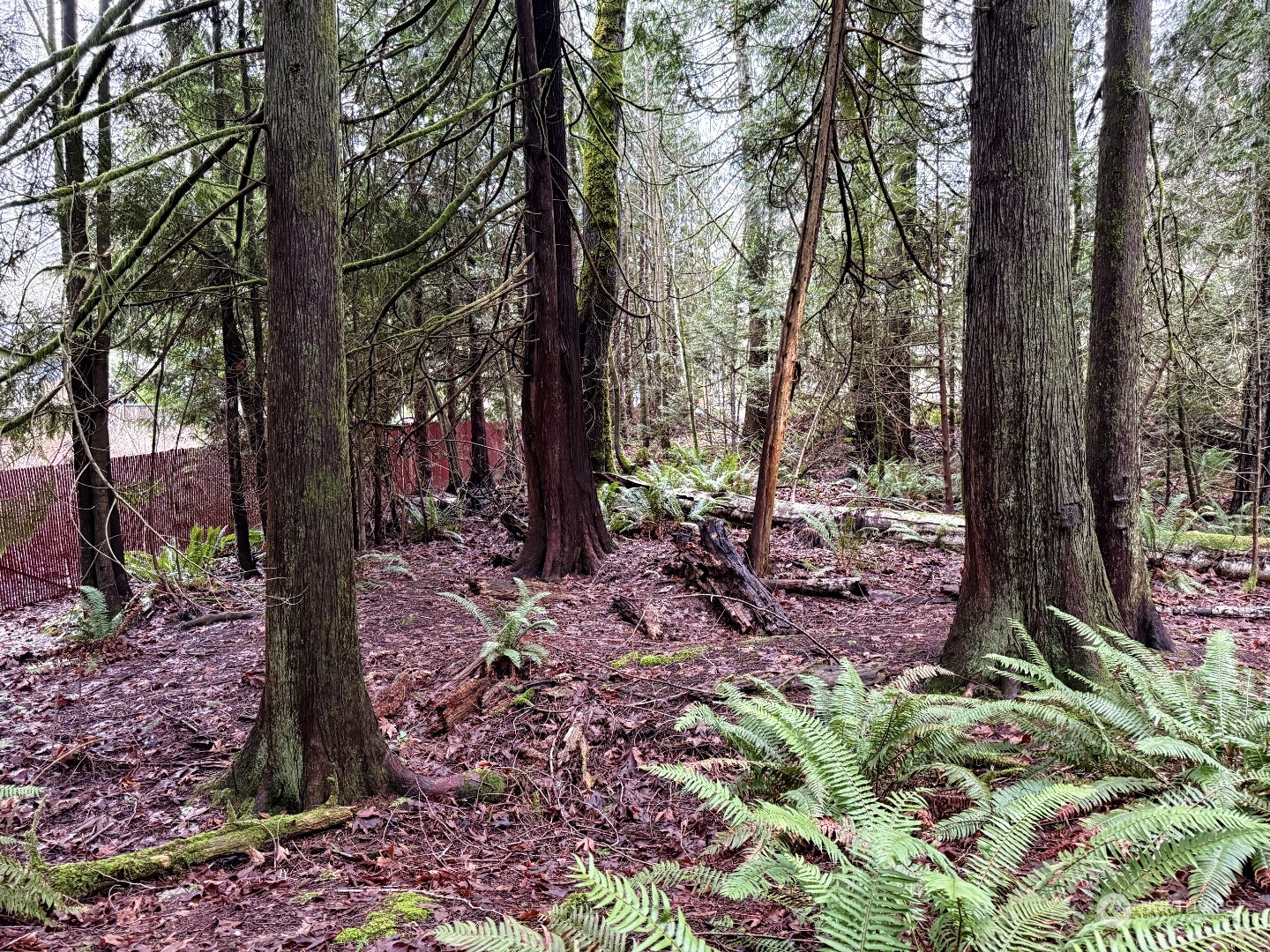 9 XX NE Winston Drive