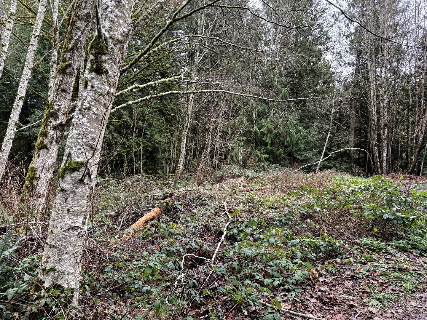 9 XX NE Winston Drive