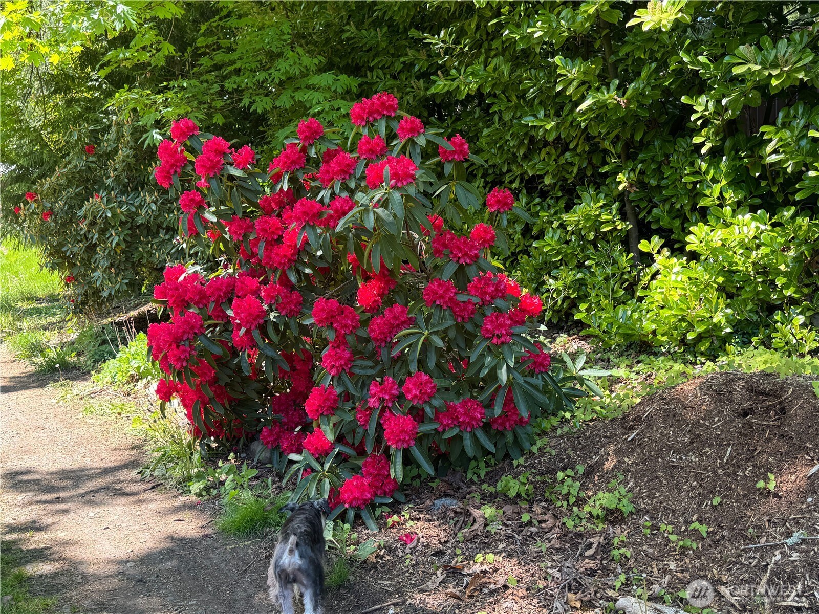 22580 Cedar Trail Lane NE