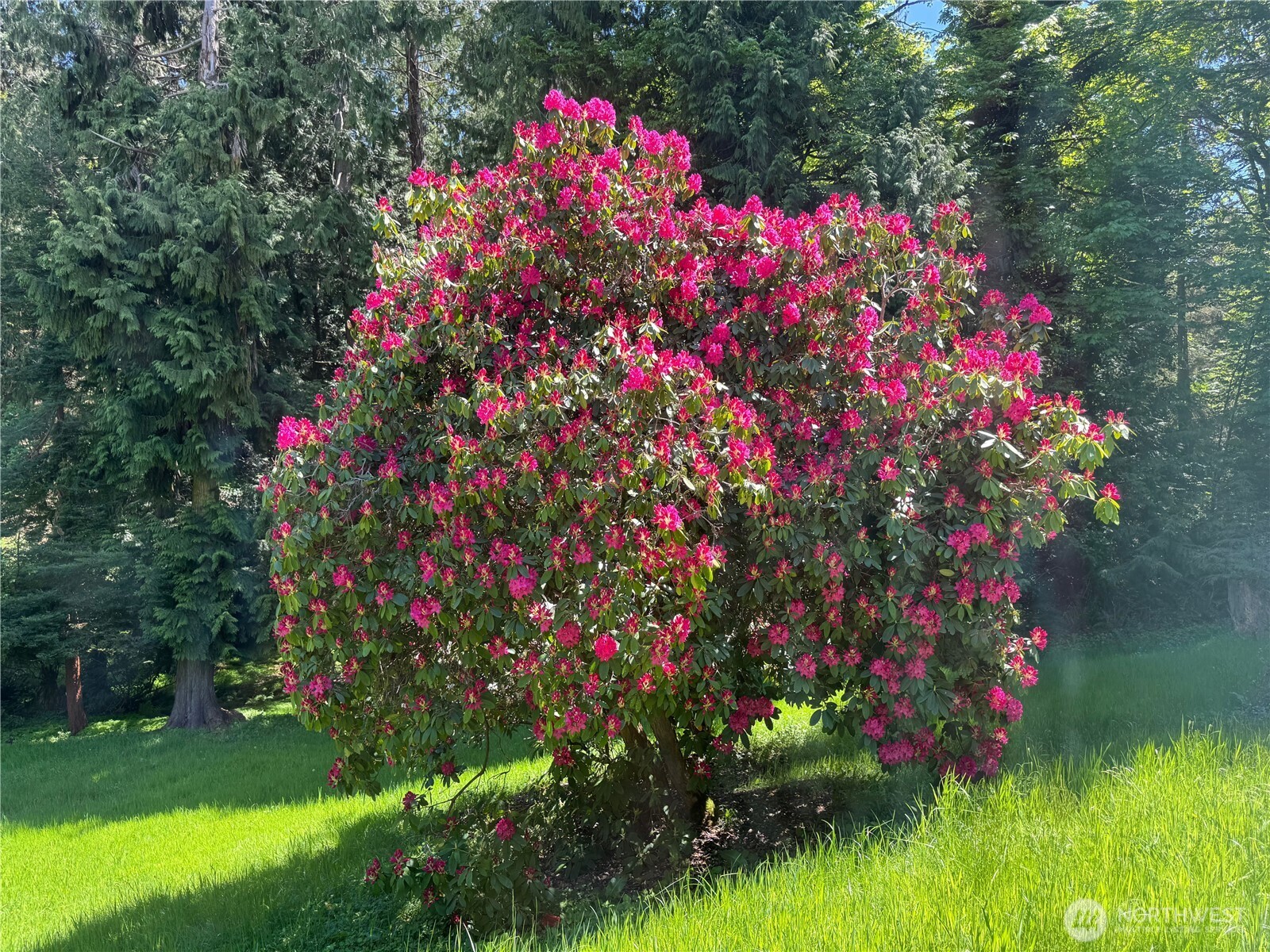 22580 Cedar Trail Lane NE