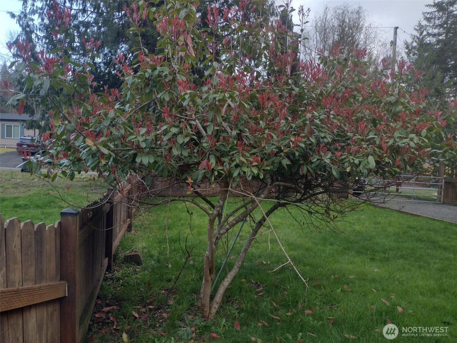 581 E Lakeshore Drive E