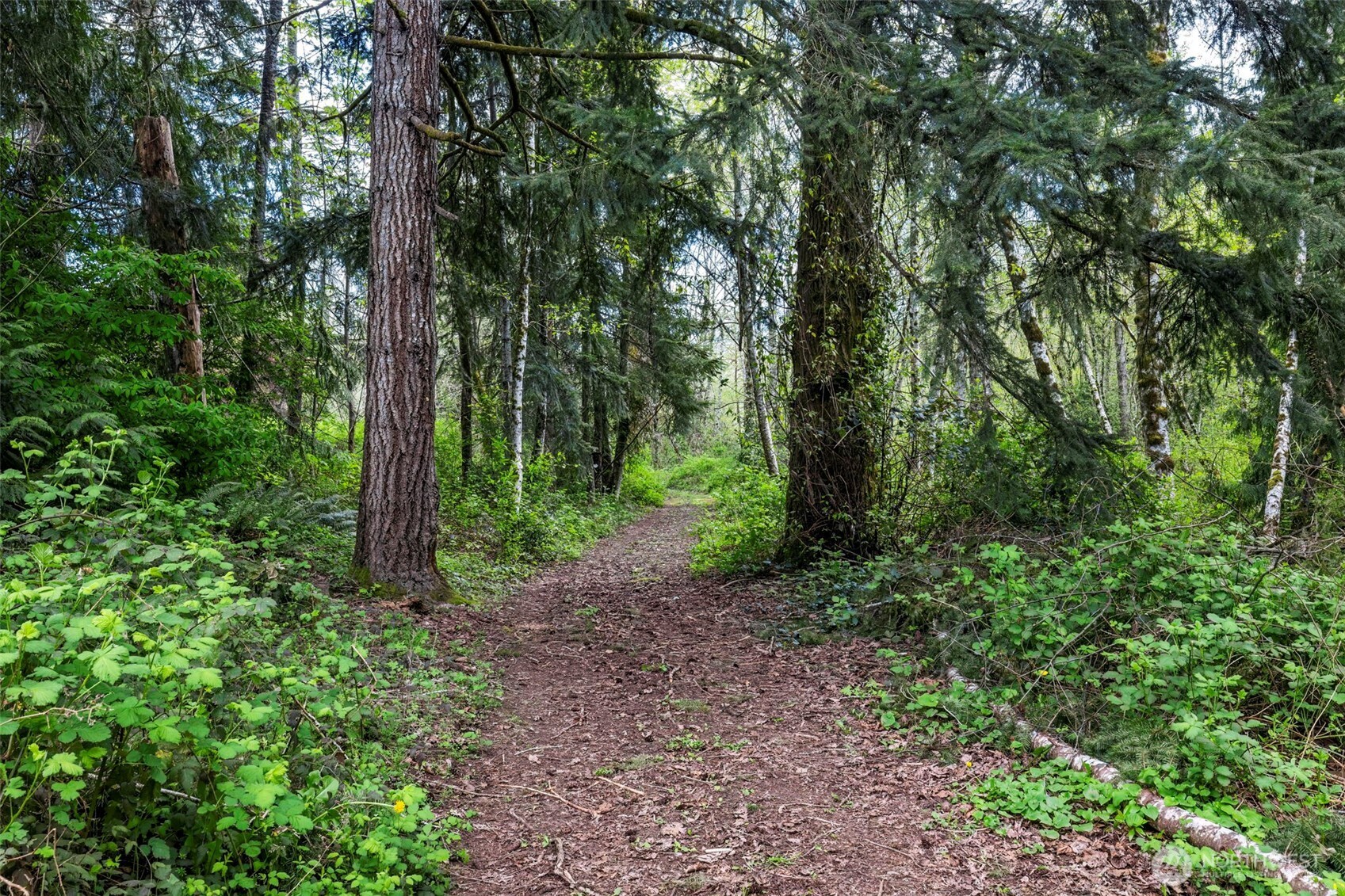 8638 Long Lake Road SE