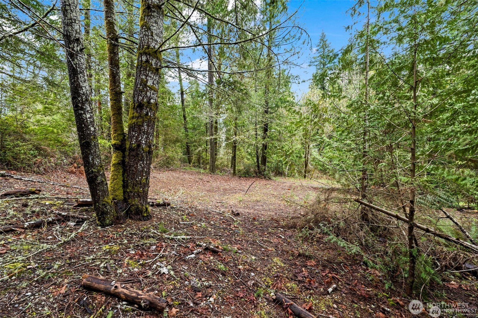 680 E State Route 302