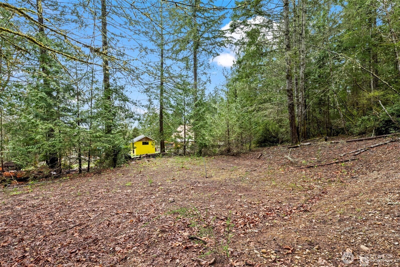 680 E State Route 302