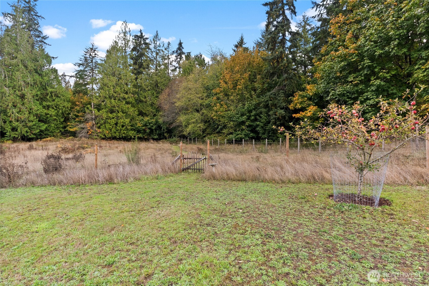 12910 118th Avenue NW