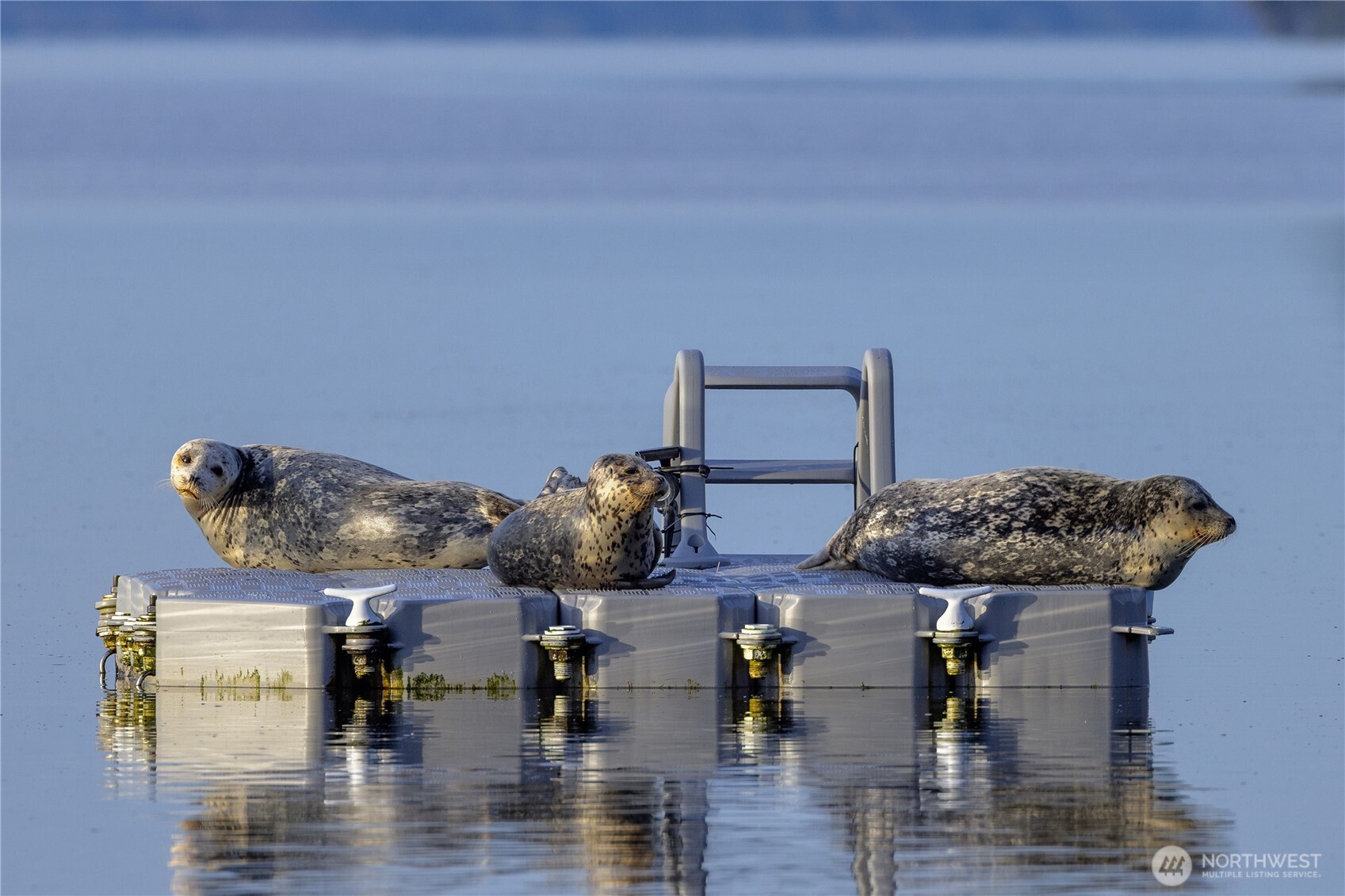 11211 194th Avenue NW