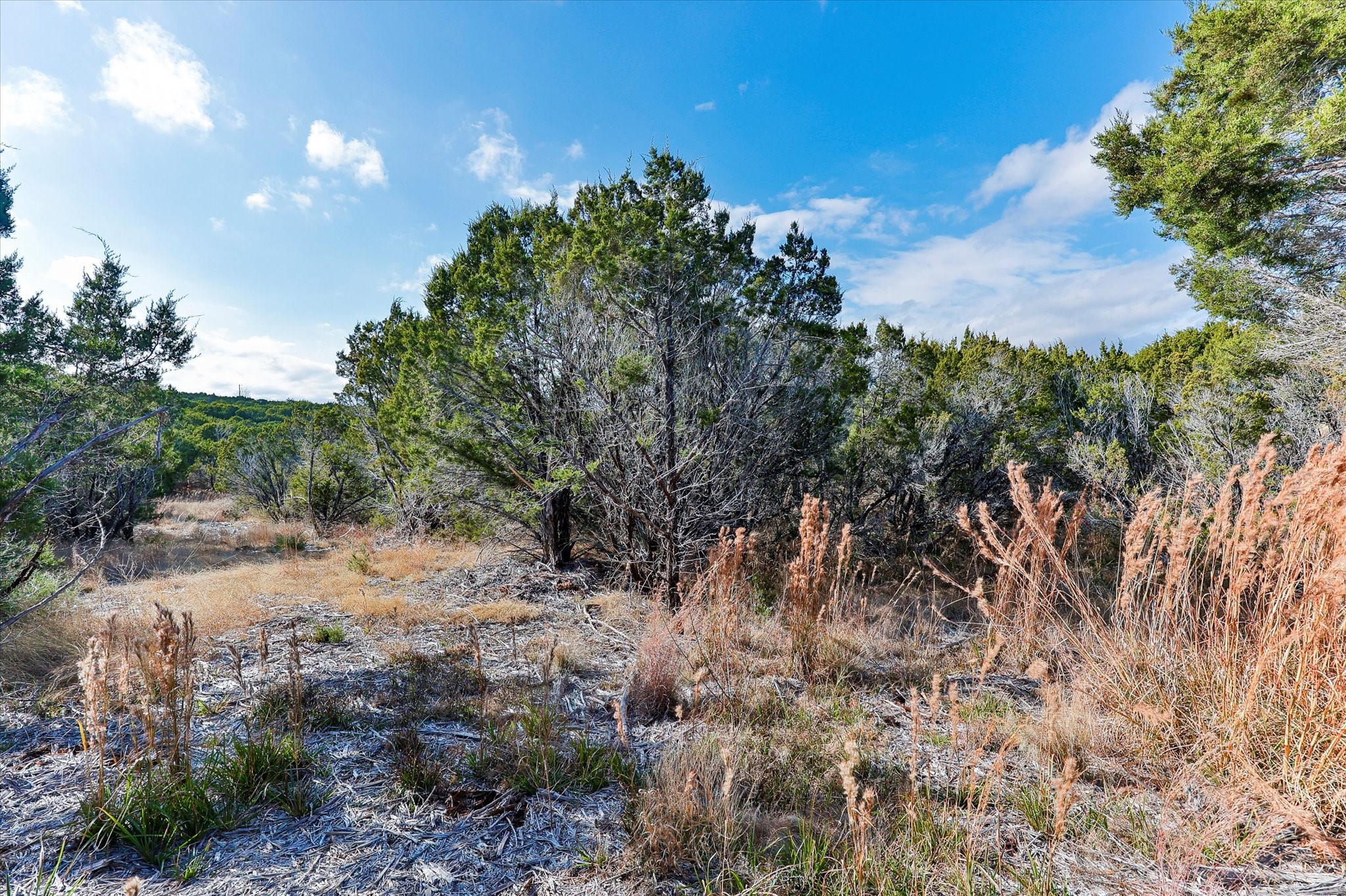 1021 County Road