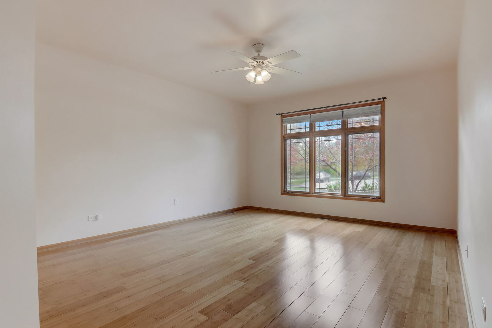 10628 Canterbury Drive