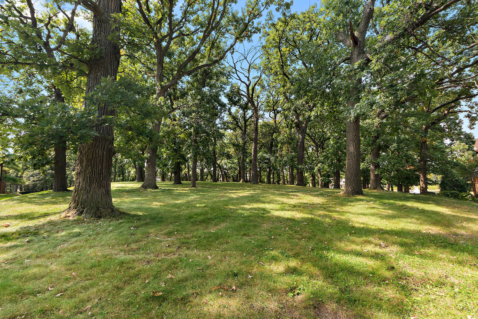 7737 W Golf Drive Unit: 201