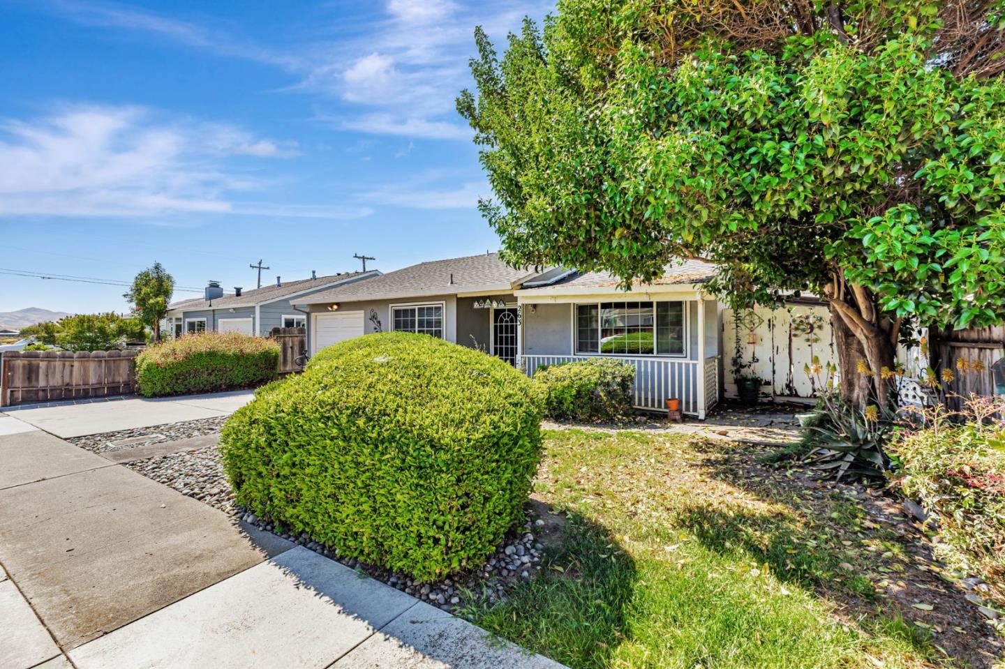 263 Maple Street