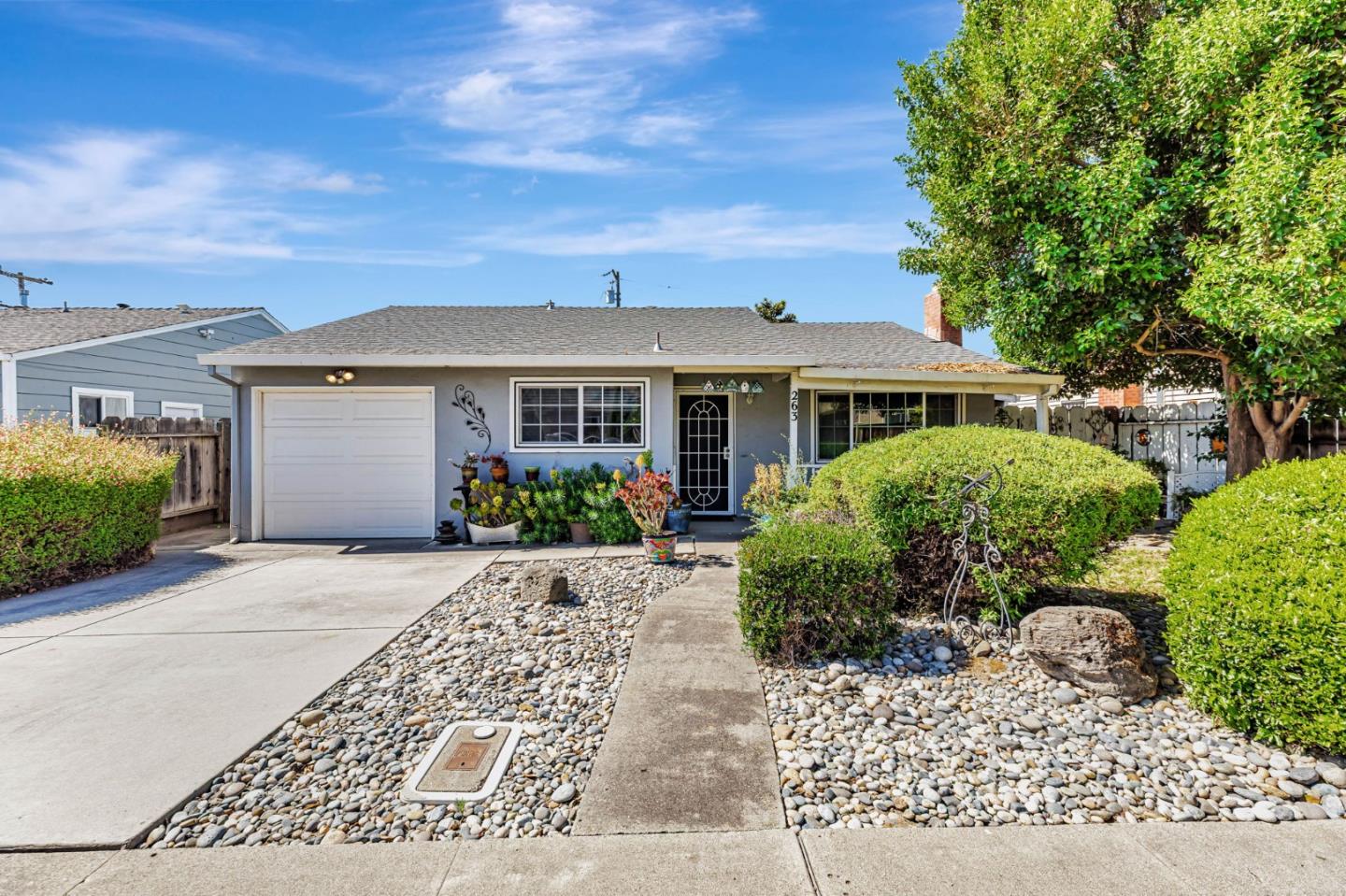 263 Maple Street