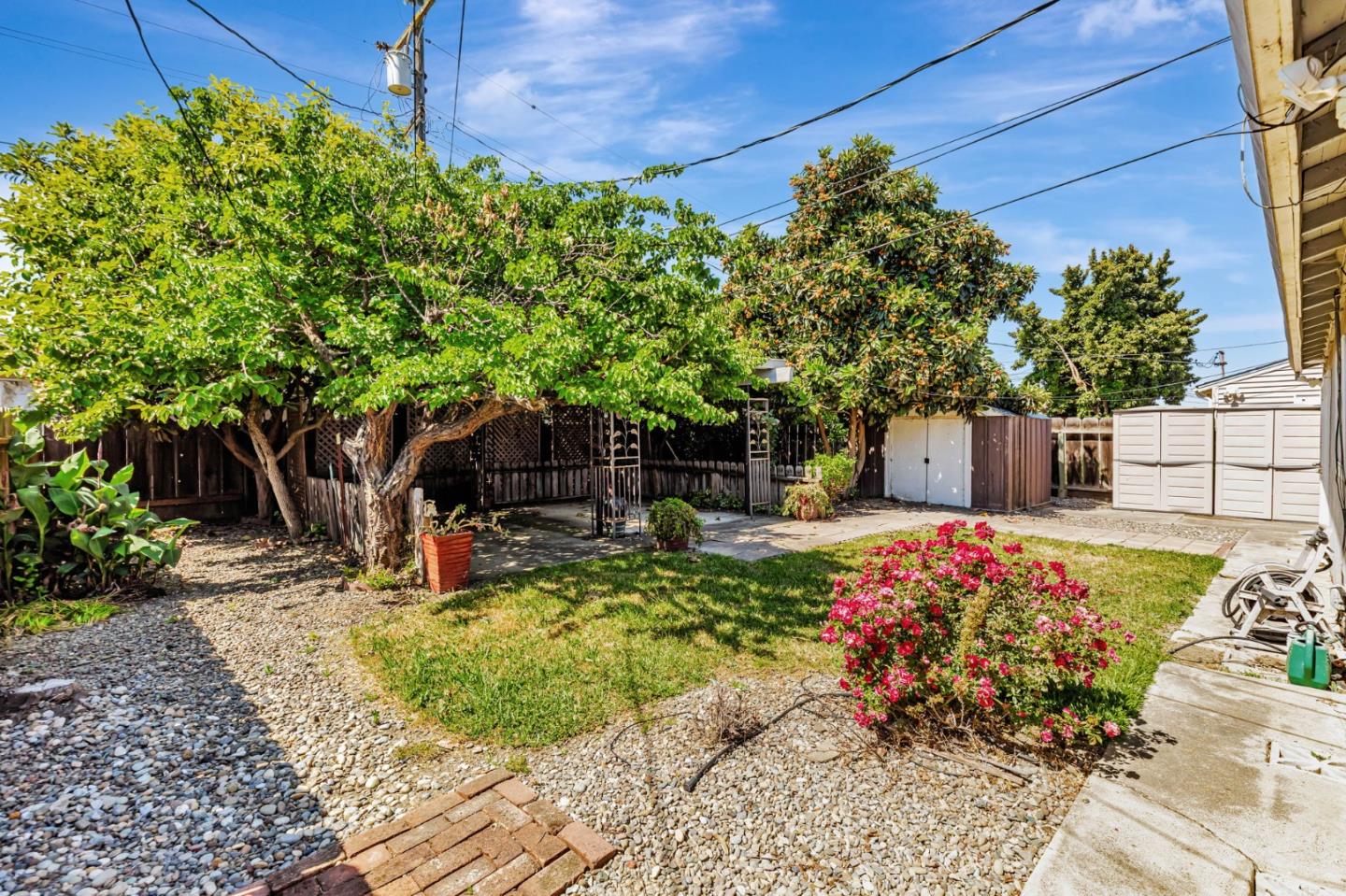 263 Maple Street