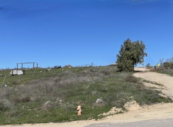 Vacant grassy hillside lot beside a dirt access road, with a lone tree and roadside fire hydrant.