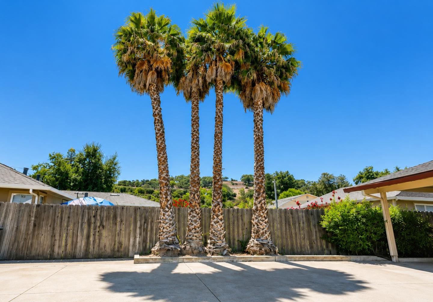 17579 Del Monte AVE
