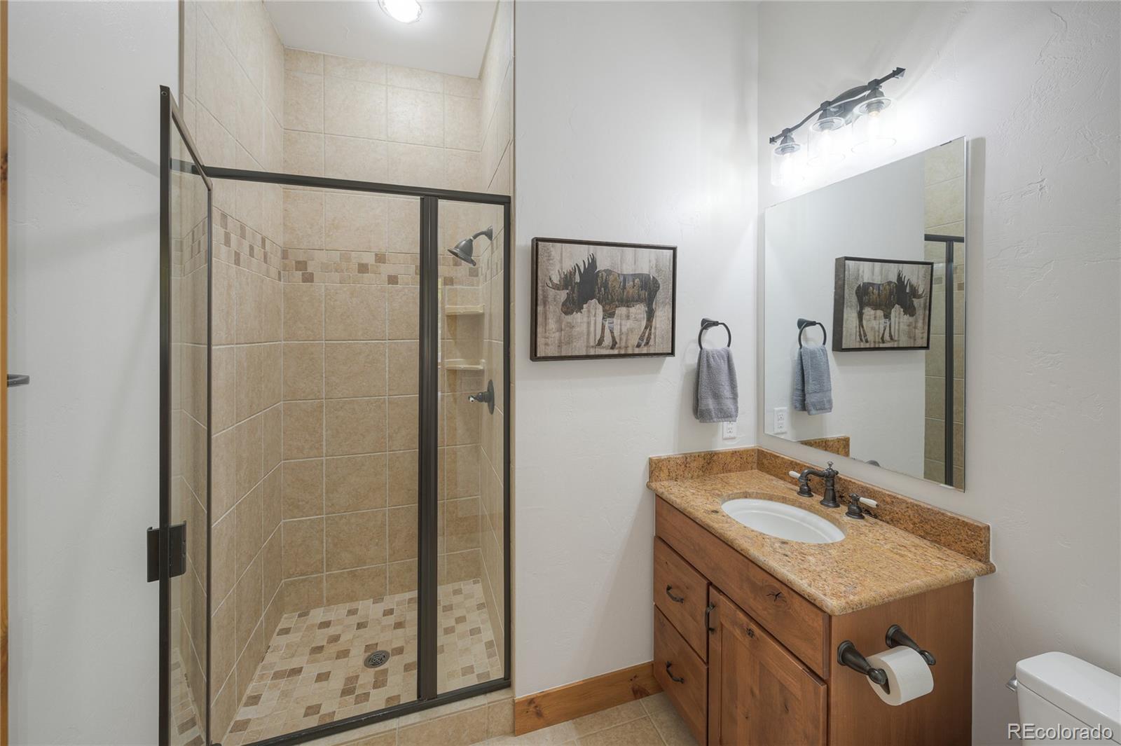 Bathroom with a tan-tiled glass shower and a wood vanity with a stone countertop.