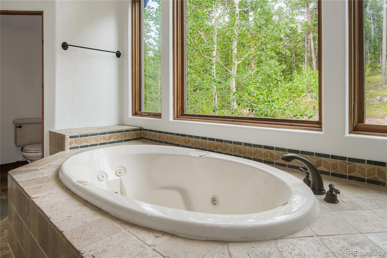 264 Little Sallie Barber Trail