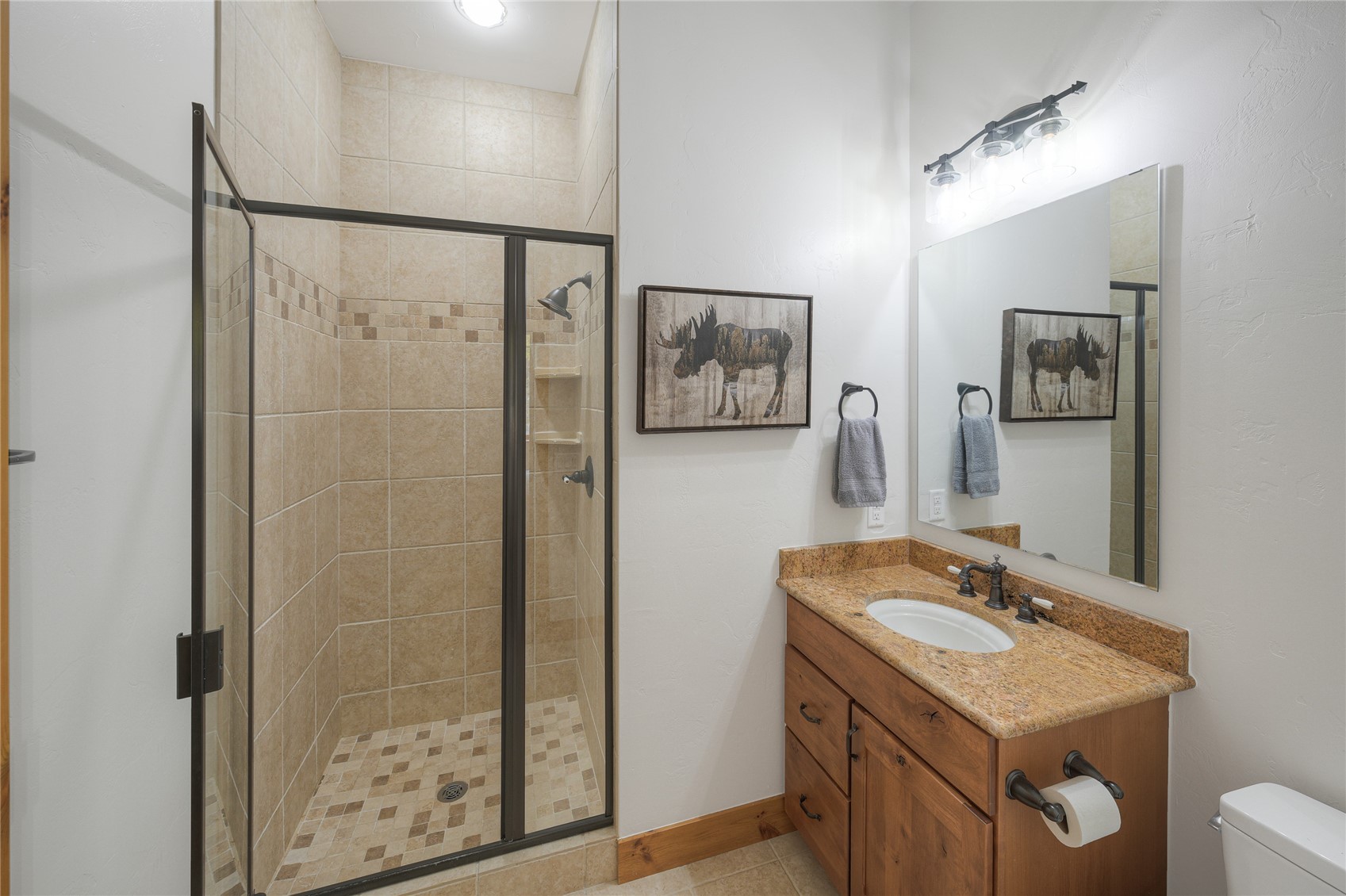 Bathroom with a tiled walk-in shower and a wood vanity topped with granite.