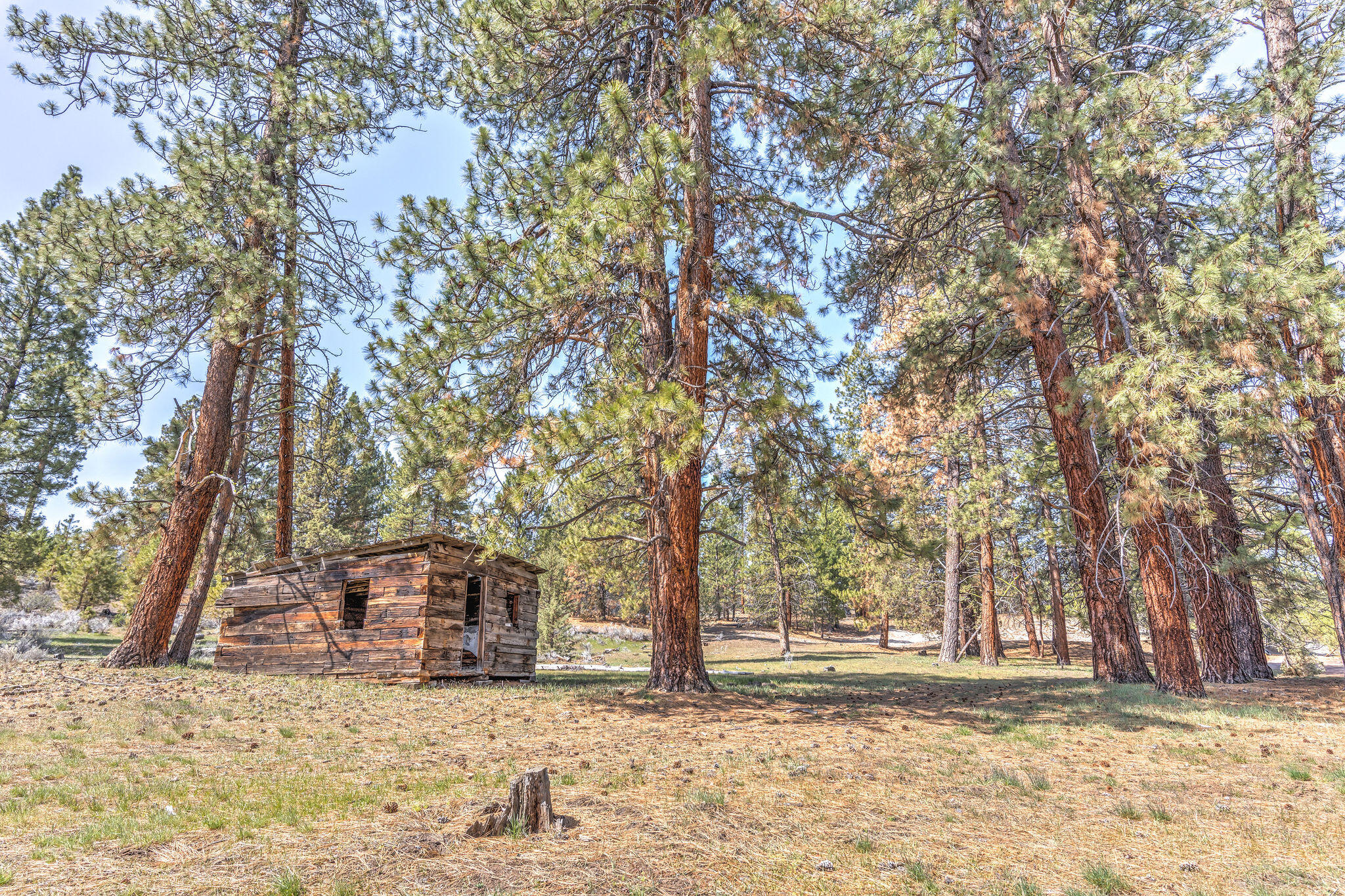 20850 Campbell Road