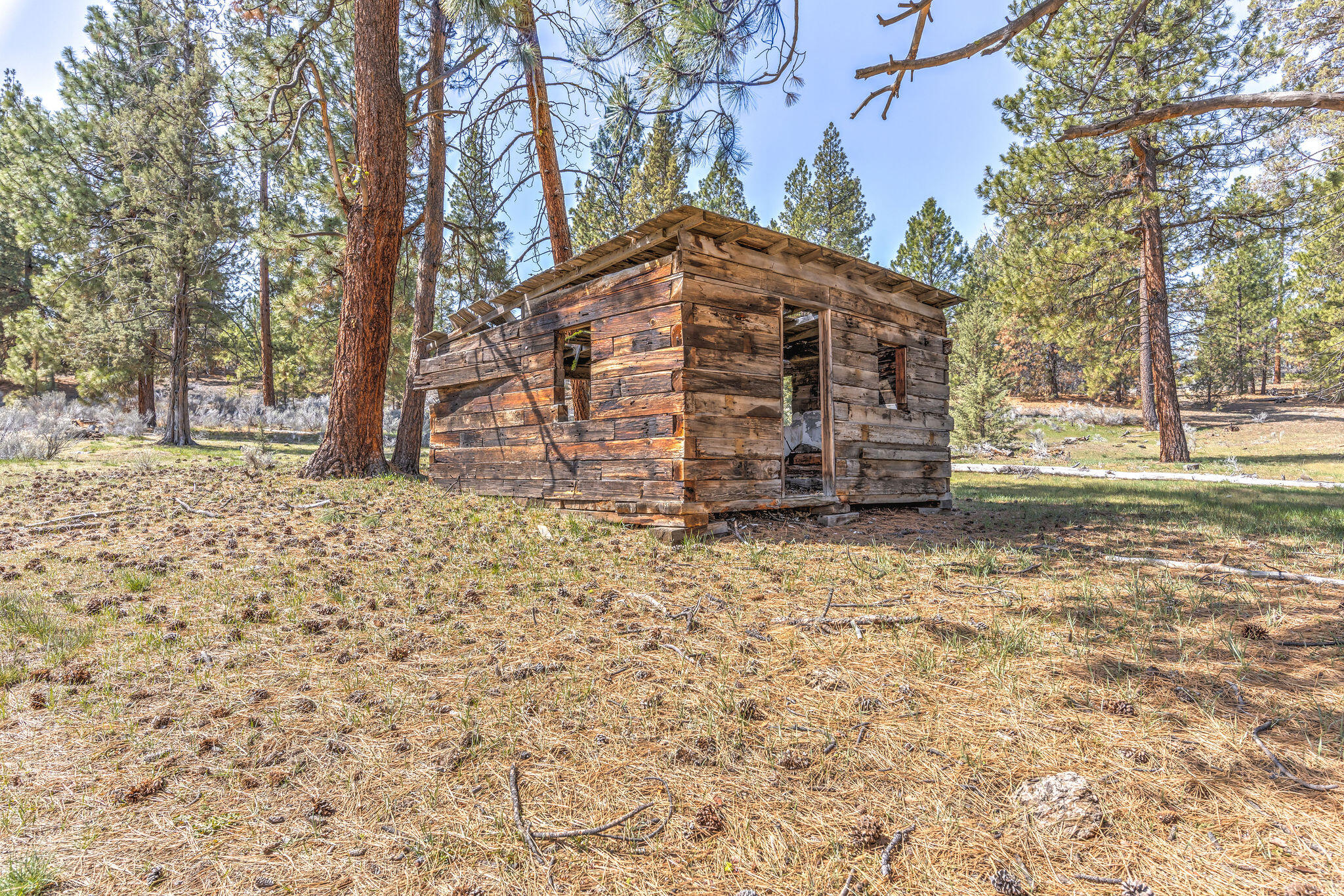 20850 Campbell Road